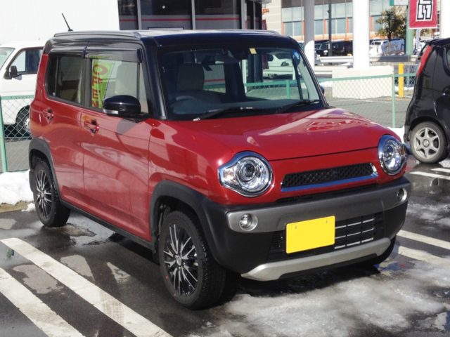 軽自動車任意保険 - 安全な運転と賢い選択のために必要な保障